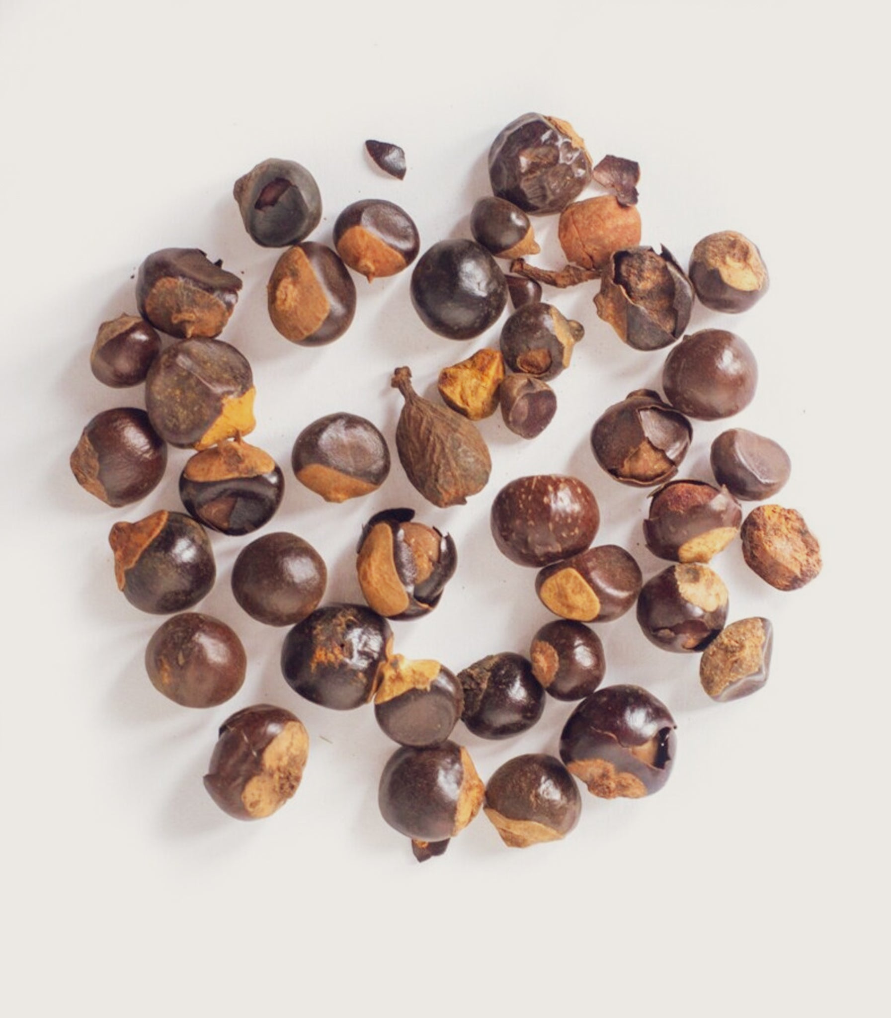 Guarana Seed