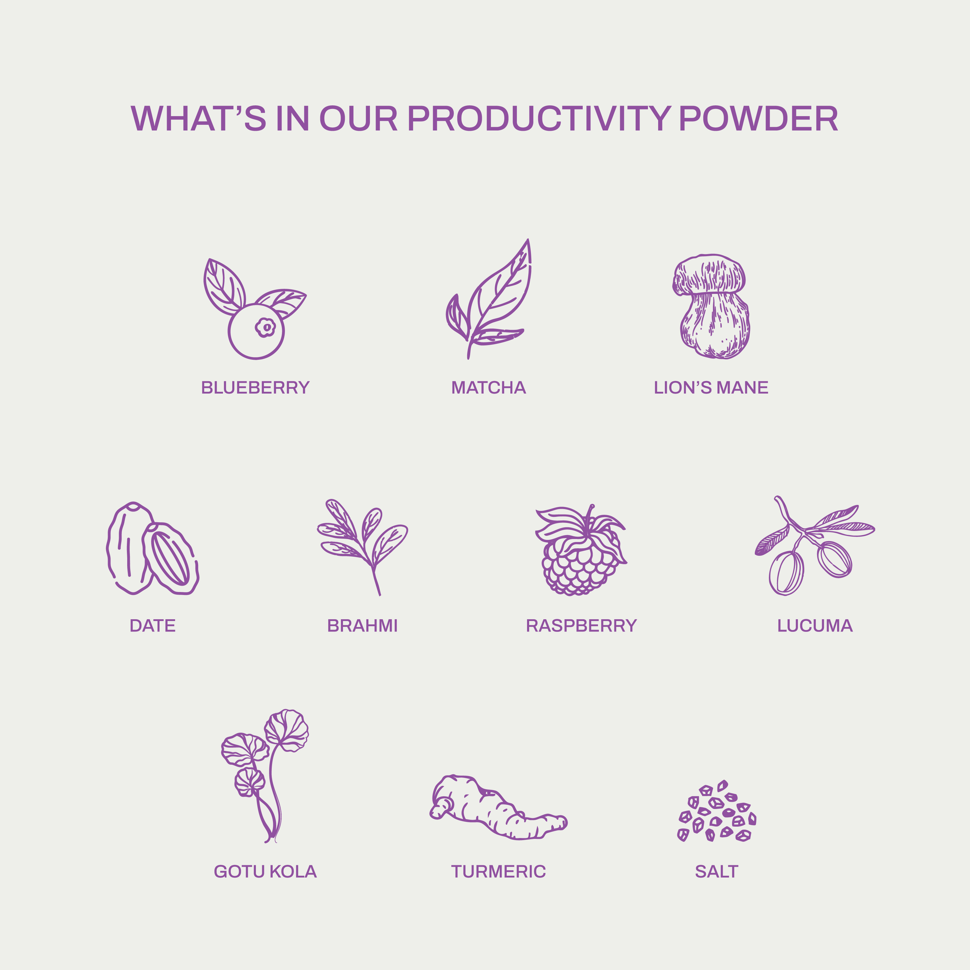 Productivity Powder