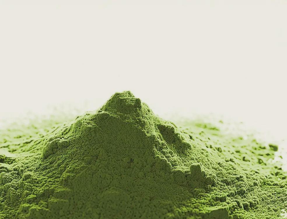 Matcha