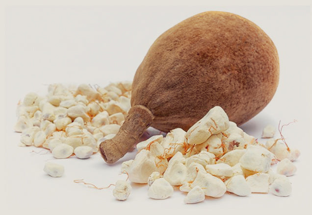 Baobab