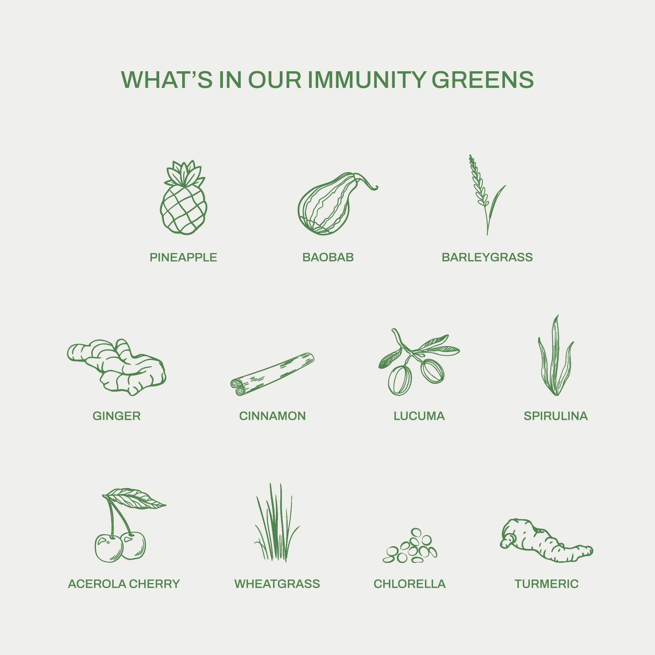 Immunity Greens
