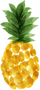 Title_2.png